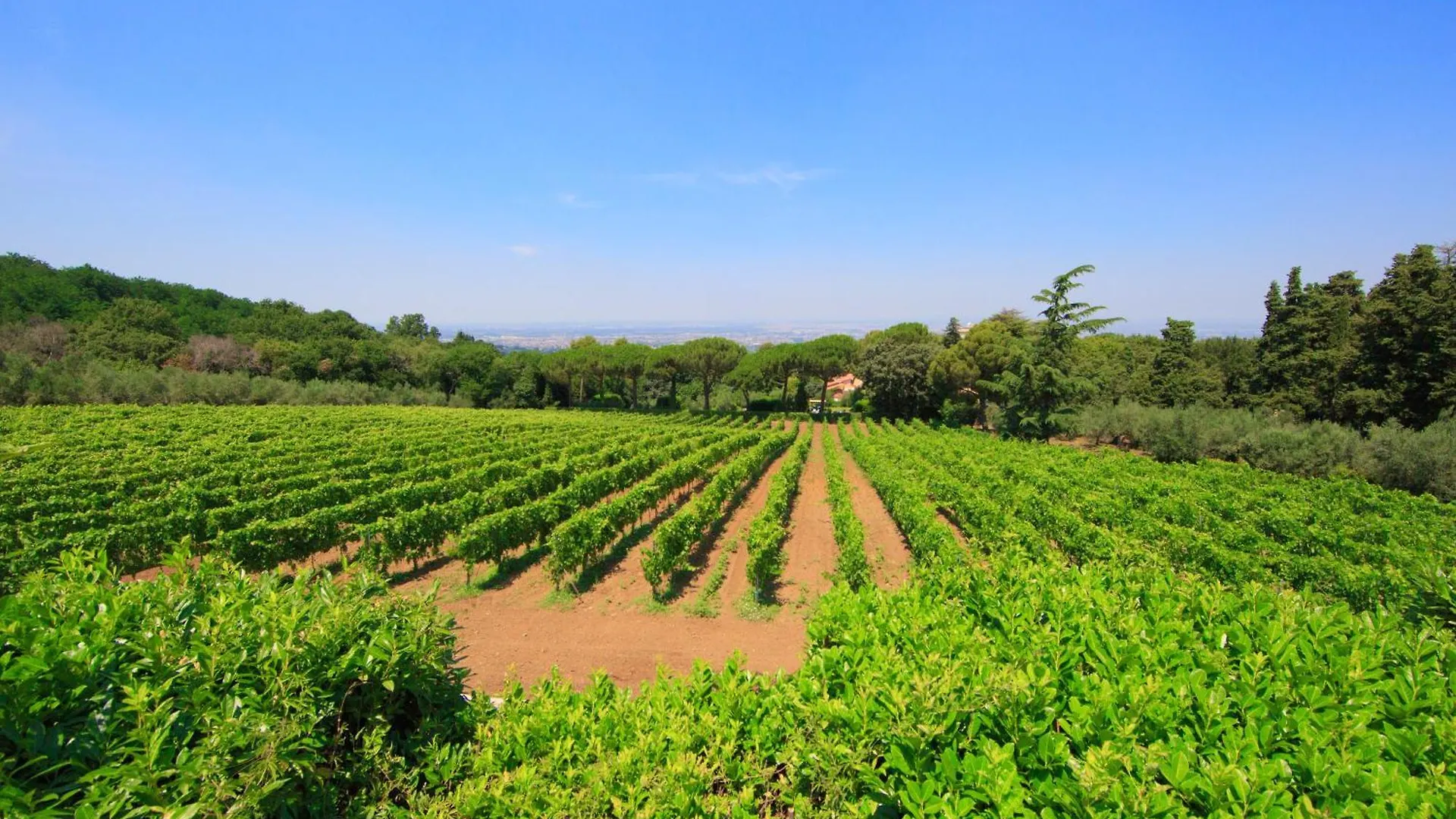 Apartment Frascati Country House Grottaferrata